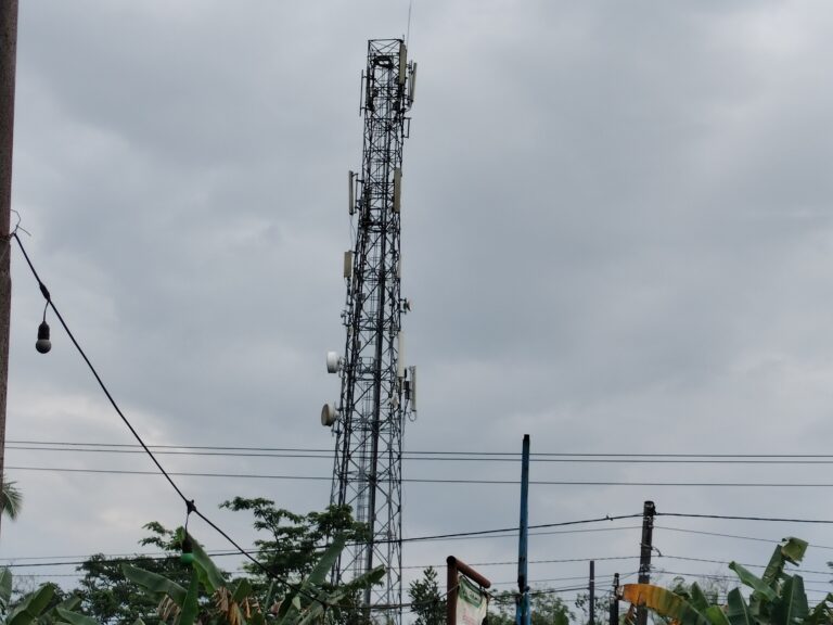 Sulit Sinyal, Warga Desa Manggar Raya Banyuasin Berharap Dibangun Tower Provider