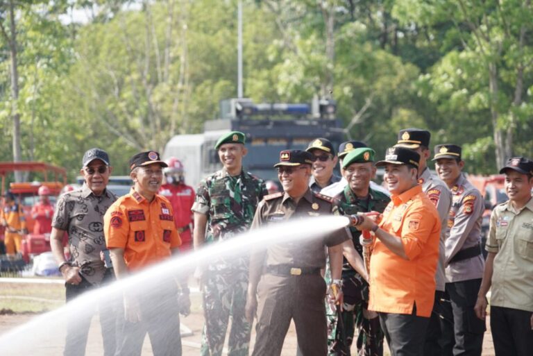 Pantau Karhutla, Pemkab Banyuasin Memaksimalkan Jaringan Internet