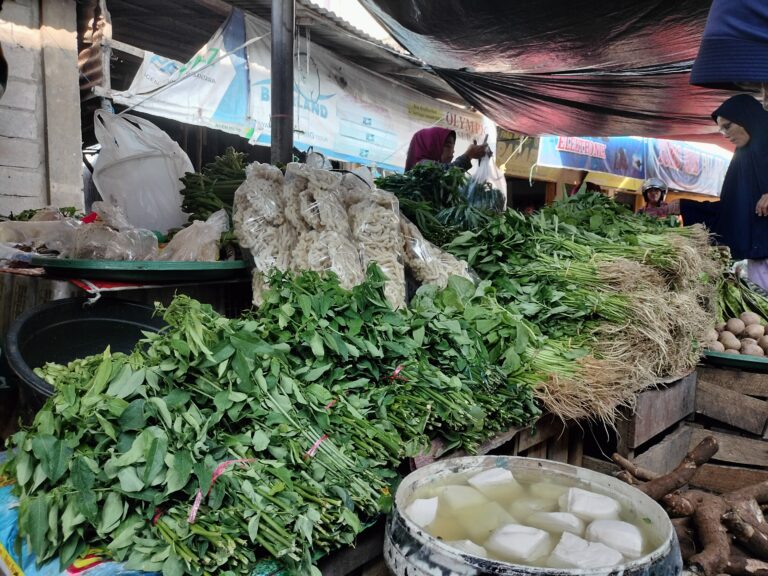Musim Panas Sayur Katu Meroket, Segini Harganya di Pasar Pangkalan Balai