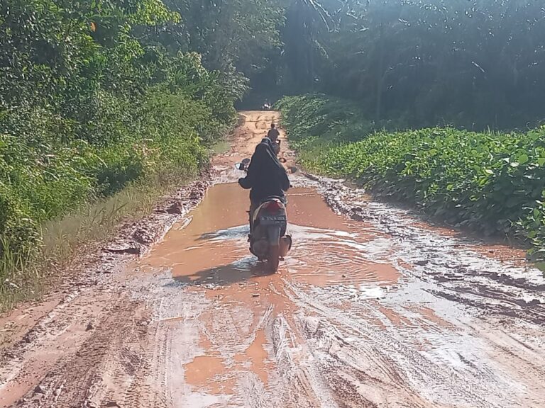 Jalan Desa Sedang Banyuasin Ini Menyedihkan