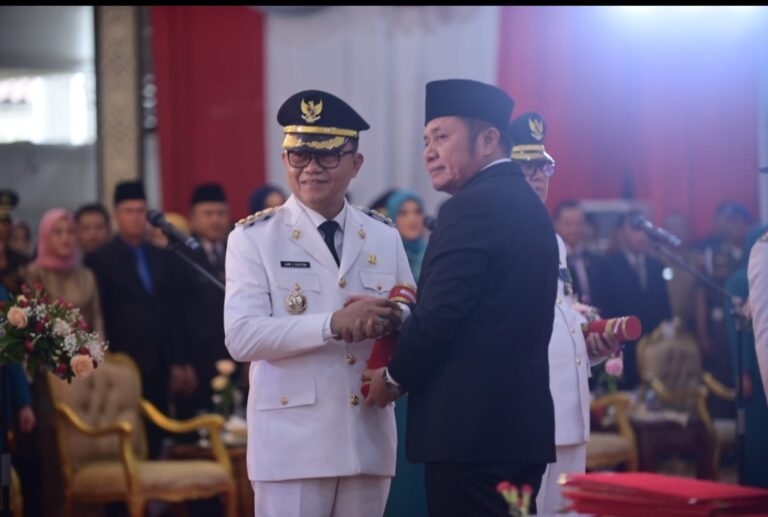 Mengenal Lebih Dekat Penjabat Bupati Banyuasin Hani Syofiar Rustam