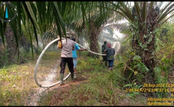 Petugas BPBD dan Polisi Berjibaku Padamkan Api
