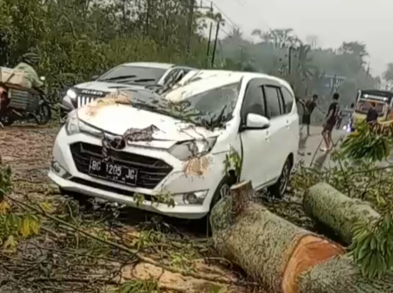 Mobil Sigra Tertimpa Pohon Tumbang di Lubuk Karet Banyuasin, Satu Keluarga Trauma