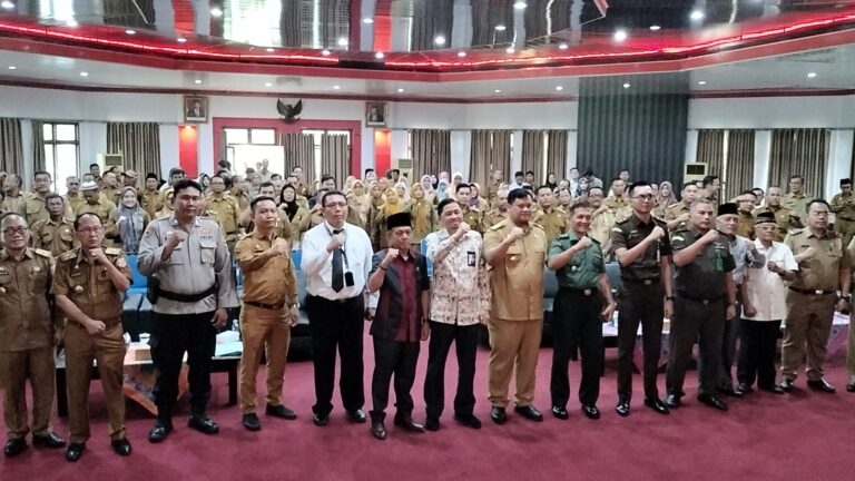 Pemkab Banyuasin Luncurkan Aplikasi Sultan Dumas