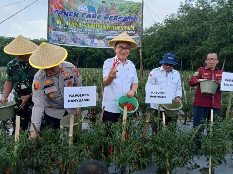 Pj Bupati Banyuasin Panen Cabai Dan Tanam Bawang, Upaya Kendalikan Inflasi