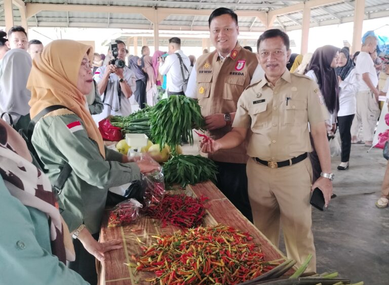 Cabai dan Bawang Turun Harga, Operasi Pasar Pemkab Banyuasin Berhasil