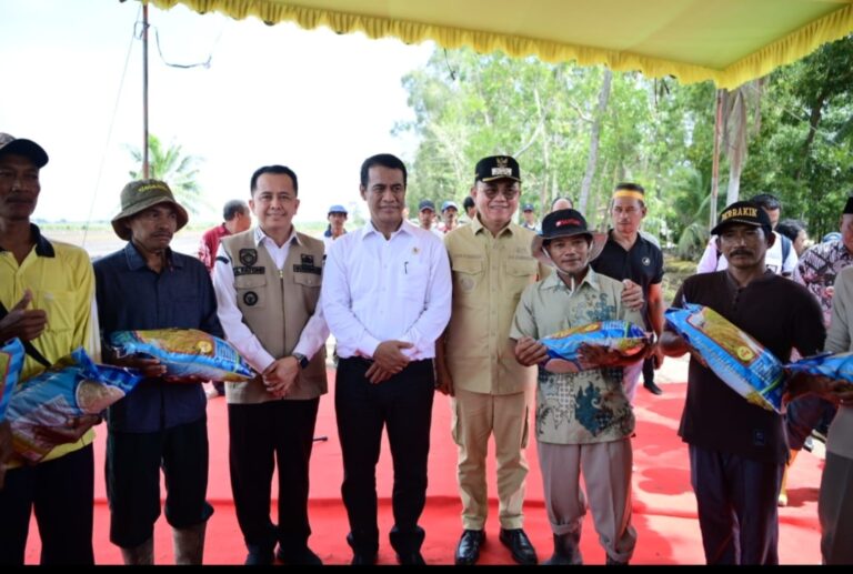 Banyuasin Surplus Beras, Targetkan Posisi Tiga Besar Lumbung Pangan Nasional