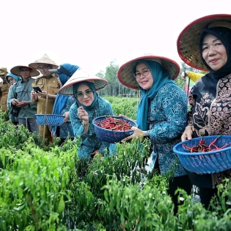 Kendalikan Inflasi, Pj TP PKK Banyuasin Panen Cabai dan Melon