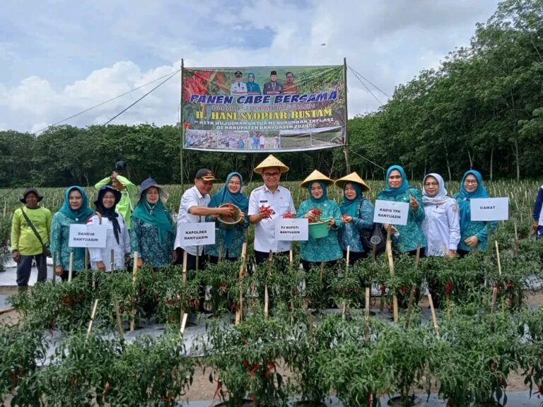 Kendalikan Inflasi, Pemkab Banyuasin Panen Cabe dan Tanam Bawang