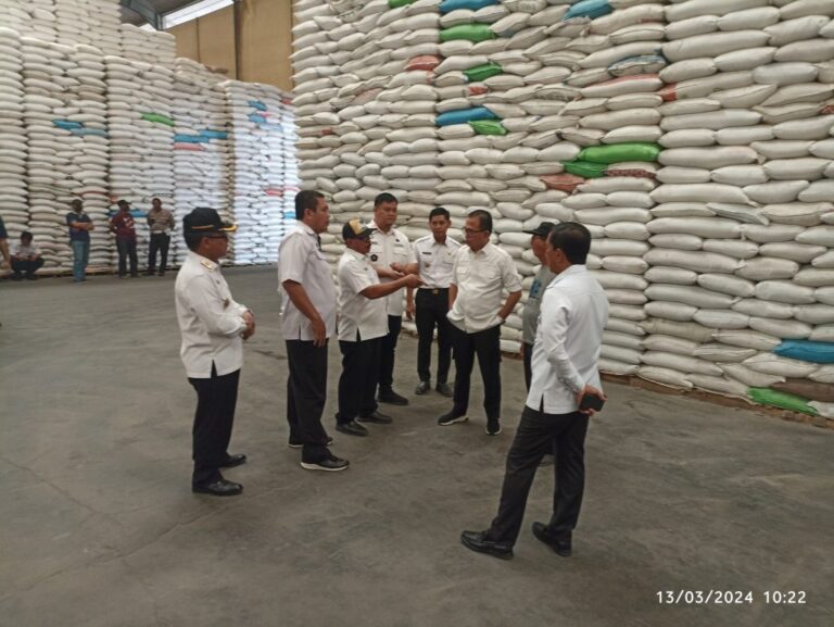 Pastikan Stok Beras Aman, Pj Bupati Banyuasin Sidak Gudang Beras