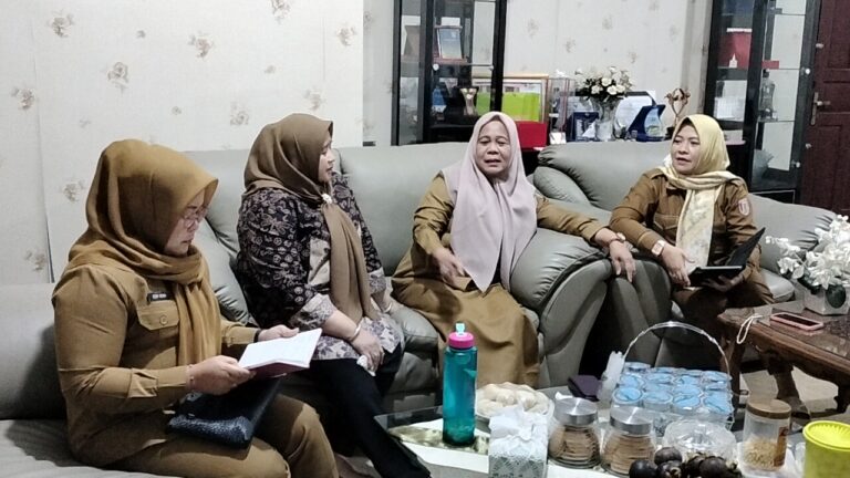 Pemkab Banyuasin Bentuk Sekolah Lansia untuk Memberdayakan Lansia