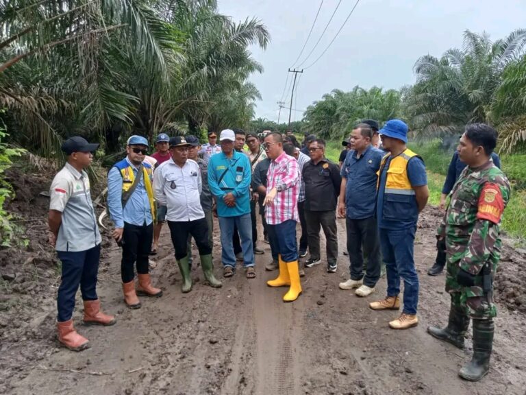 Jalan Poros Air Salek Segera Diperbaiki, Pj Bupati Banyuasin Tinjau Langsung Kondisinya