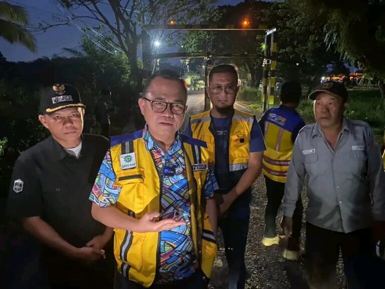 Pj Bupati Banyuasin Segera Perbaiki Jalan Simpang Sungai Dua – SP RSA