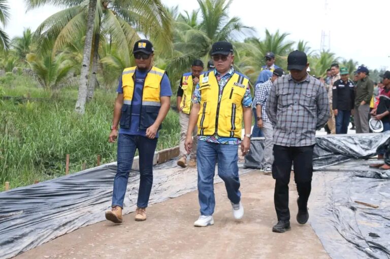 Pj Bupati Banyuasin Pastikan Kualitas dan Sesuai Target, Jalan TAA-Telok Payo 30 Persen