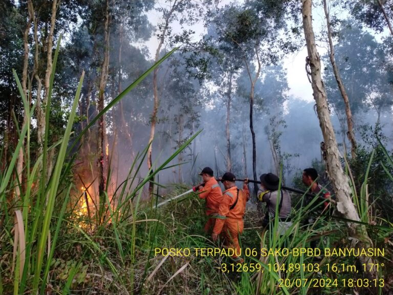 Kebakaran Hutan dan Lahan di Desa Tanjung Merbu, Banyuasin Berhasil Dipadamkan!