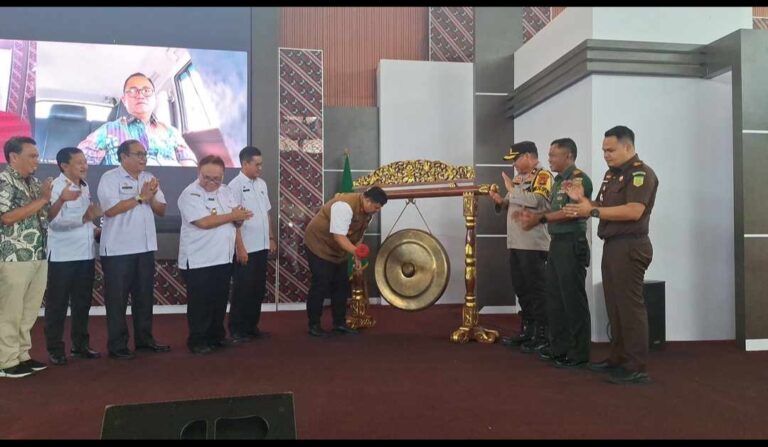 BANYUASIN GELAR JOB FAIR 2024, TERSEDIA 1.000 KUOTA LOWONGAN KERJA!