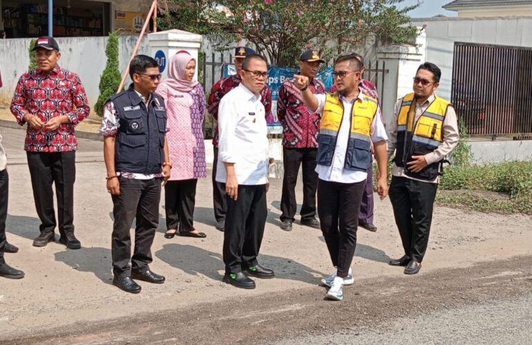 Pj Bupati Banyuasin Tinjau Perbaikan Jalan Opi Raya