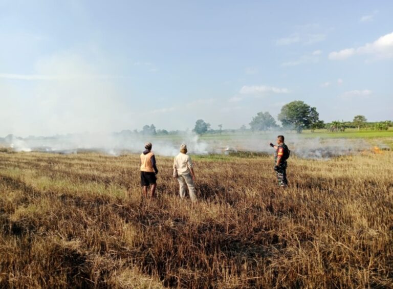 Ditemukan Beberapa Titik Panas di Kabupaten Banyuasin, Tim Respon Cepat Dikerahkan