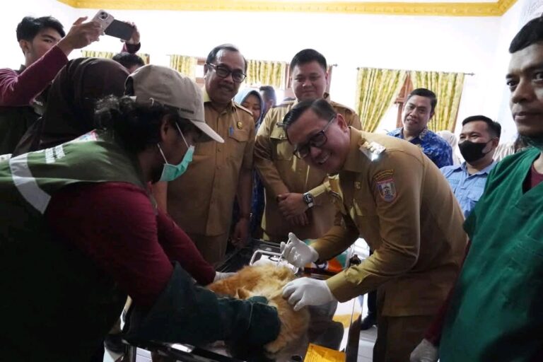 Hari Rabies Sedunia, Pemkab Banyuasin Gratiskan Vaksin Rabies