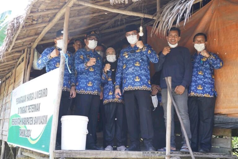Pj Bupati Banyuasin Lakukan Monitoring Ayam di Tingkat Peternak