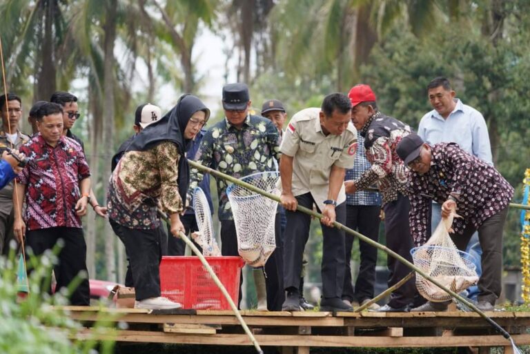 Pj Bupati Banyuasin Panen Ikan Patin Desa Sungai Rengit