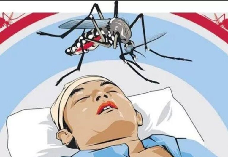 Musim Hujan, DBD Mengintai: 534 Kasus Terkonfirmasi di Banyuasin