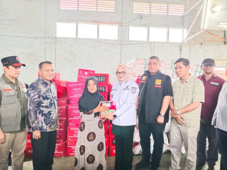 Wabup Banyuasin Serahkan Bantuan Untuk Masyarakat Terdampak Banjir