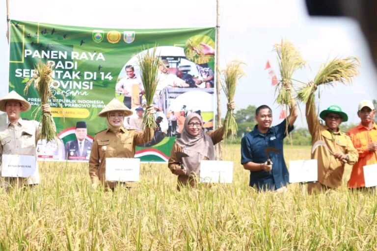Panen Raya Serentak, Banyuasin Masuk 3 Besar Penghasil Gabah Nasional dan Optimis Wujudkan Swasembada Pangan