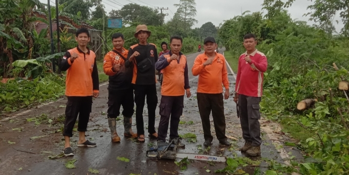 Tim Gabungan Bergerak Cepat Evakuasi Pohon Tumbang di Sekayu