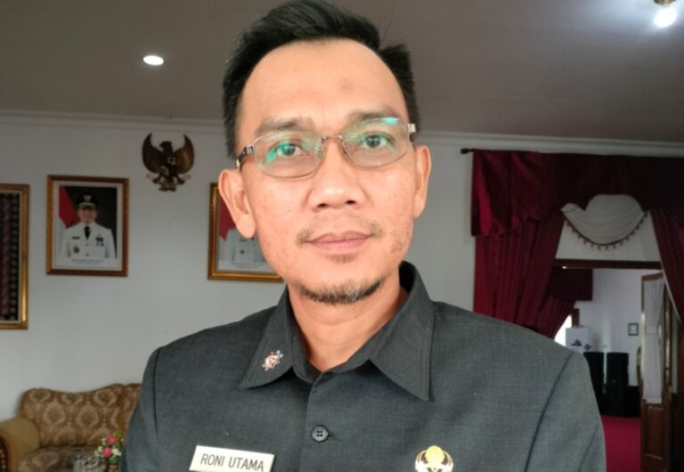 Target PAD Banyuasin 2025 Capai Rp 381 Miliar, Pajak Daerah Rp 276 Miliar