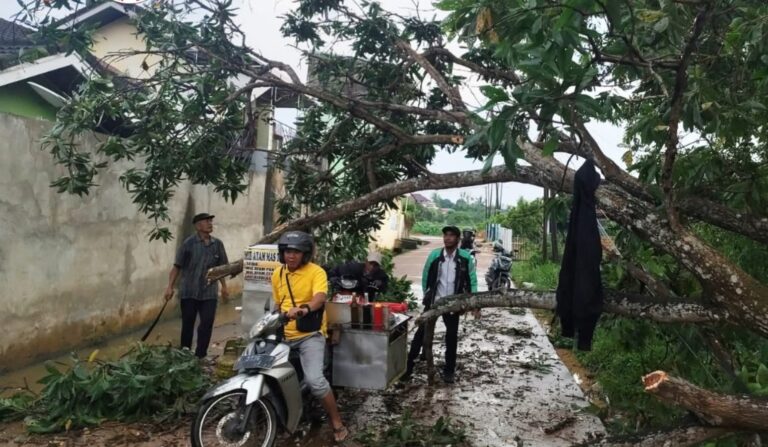 BPBD Banyuasin Gerak Cepat Evakuasi Pohon Tumbang di Talang Kelapa