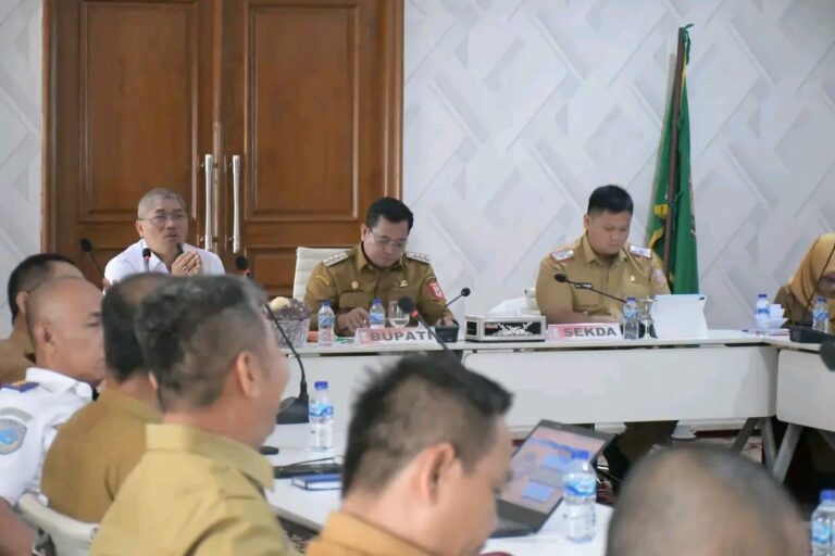Tingkatkan Tata Kelola Pemerintah, Bupati Banyuasin Terima Kunjungan Kepala BPKP