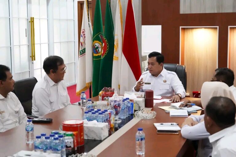 Terima Kunker SKM Pertanian, Banyuasin Siap Menjadi Daerah Swasembada Pangan Nasional