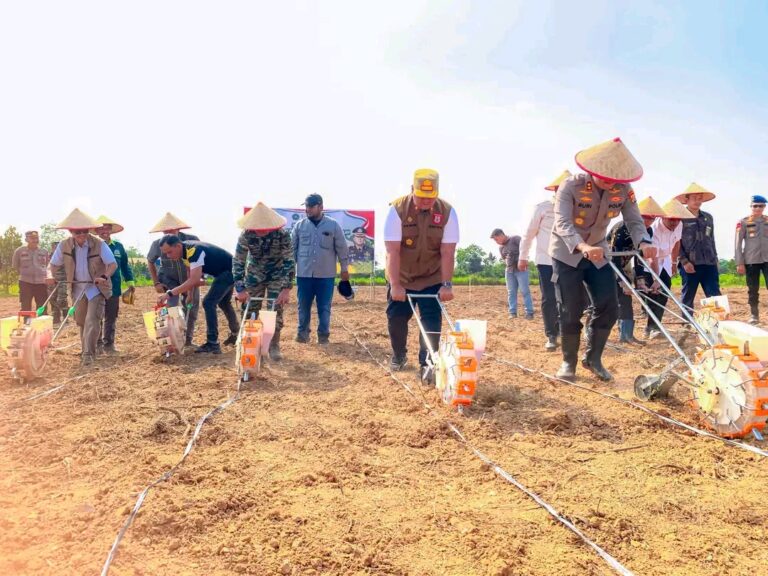Swasembada Pangan Tahun 2025, Sekda Banyuasin Hadiri Tanam Jagung Bersama Polres Banyuasin
