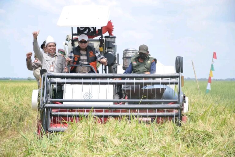 Panen Padi IP 100, Bupati Banyuasin Optimis Banyuasin Jadi Penghasil Gabah Nomor 1 Di Indonesia