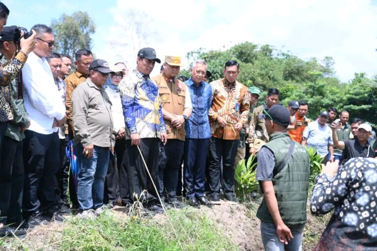 Mantap! Lumbung Pangan Nomor 2 Nasional, Banyuasin Terus Tingkatkan Target Produksi Padi
