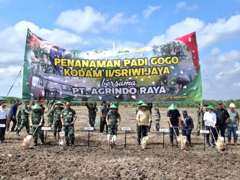 Terus Perkuat Ketahanan Pangan, Sinergi Pemkab Banyuasin dan Pangdam II/ Sriwijaya Tanam Padi Gogo