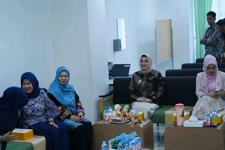 Wabup Netta: Hebat! Pelayanan Hermina OPI Jakabaring Banyuasin Sudah Sangat Maksimal