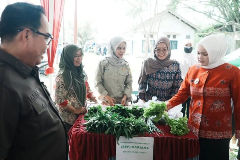 Kendalikan Inflasi Jelang Lebaran, Pemkab Banyuasin Gelar Operasi Pasar Murah di Mariana