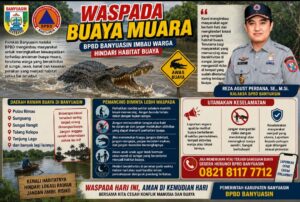 Waspada Buaya Muara, BPBD Banyuasin Imbau Warga Hindari Habitat Buaya
