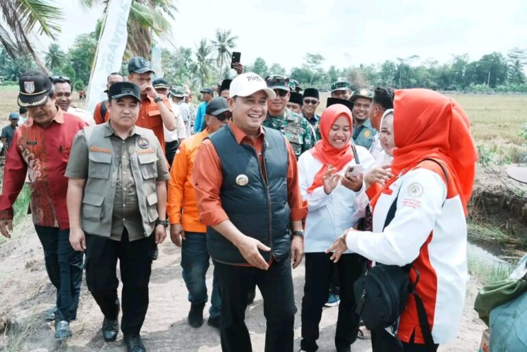 Bupati Banyuasin Optimis Hasil Panen Padi dan Jagung Tinggi