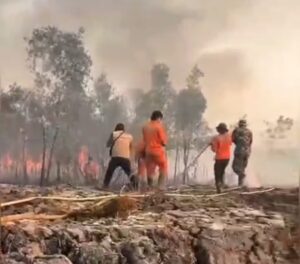 Karhutla Banyuasin Makin Meluas, Empat Helikopter Dikerahkan dan 206 Kali Water Bombing