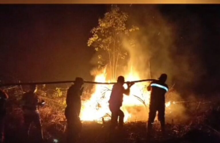 Pemadaman Karhutla Banyuasin Berlanjut hingga Malam, Tim Gabungan Berjibaku Cegah Api Meluas