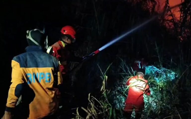 Api Lahap Kebun Sawit Warga di Tanjung Lago, Tim Gabungan Bergerak Padamkan Karhutla
