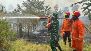 Kesekian Kalinya Karhutla Terjadi di Muba, BPBD Selalu Siaga Padamkan Api