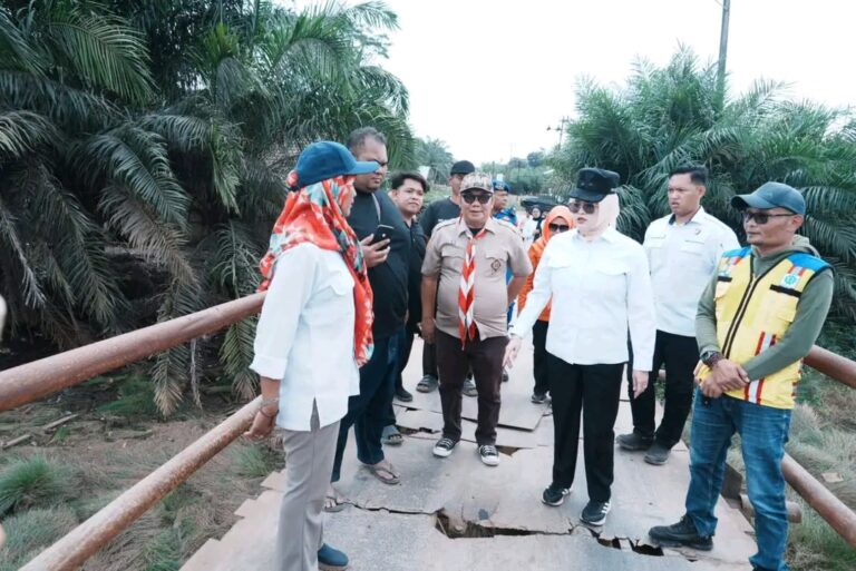 Wabup Janjikan Perbaikan Jembatan