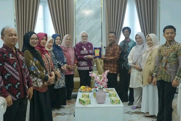 Wabup Banyuasin Terima Audiensi UNISA Palembang