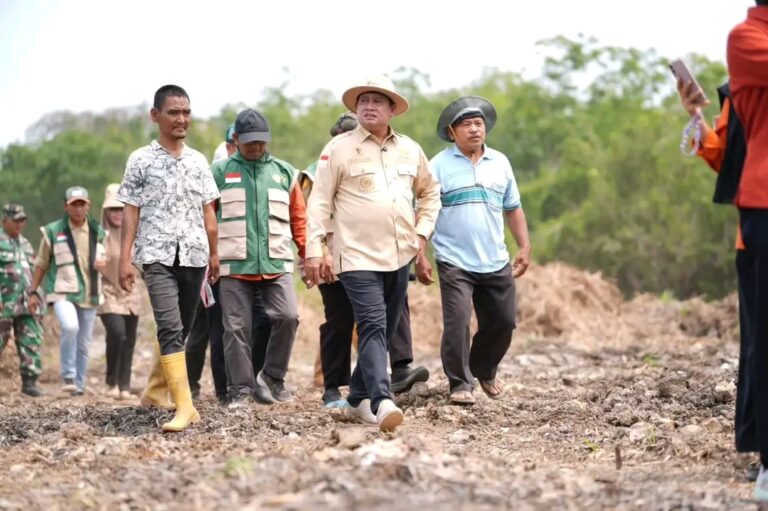 Bupati Askolani Tinjau Lokasi Pembuatan Embung, Pastikan Ketersediaan Air bagi Masyarakat